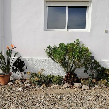 Casa Jardin. Vivienda Rural En Zona Tranquila. Villa Lucainena de las Torres Dış mekan fotoğraf