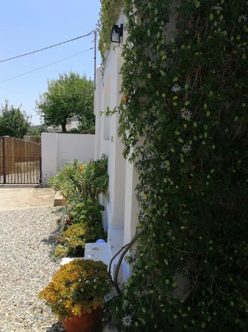 Casa Jardin. Vivienda Rural En Zona Tranquila. Villa Lucainena de las Torres Dış mekan fotoğraf