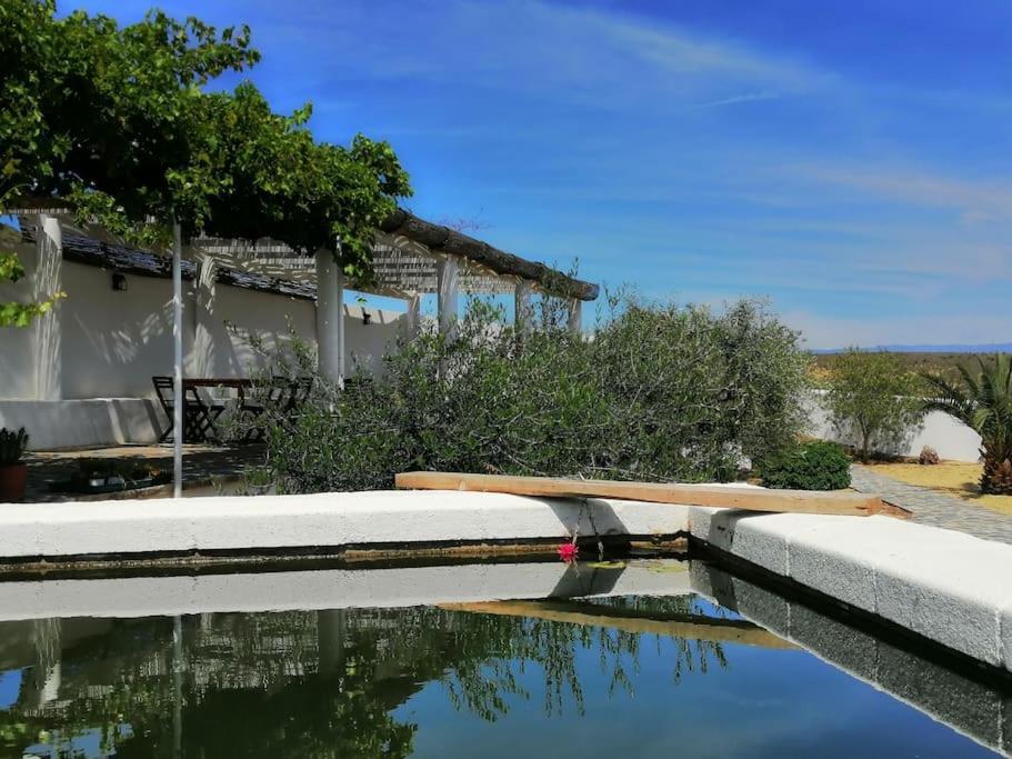 Casa Jardin. Vivienda Rural En Zona Tranquila. Villa Lucainena de las Torres Dış mekan fotoğraf