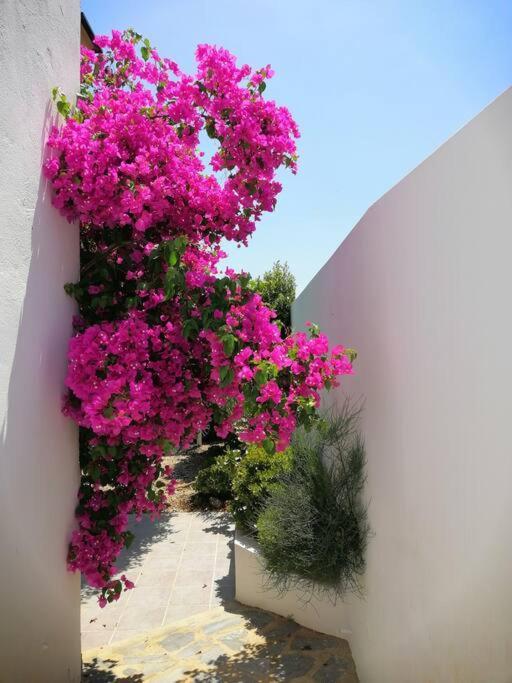 Casa Jardin. Vivienda Rural En Zona Tranquila. Villa Lucainena de las Torres Dış mekan fotoğraf