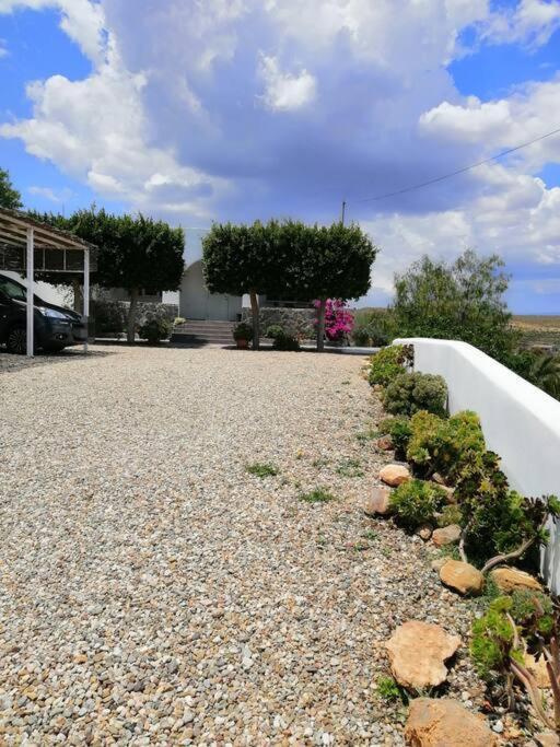 Casa Jardin. Vivienda Rural En Zona Tranquila. Villa Lucainena de las Torres Dış mekan fotoğraf