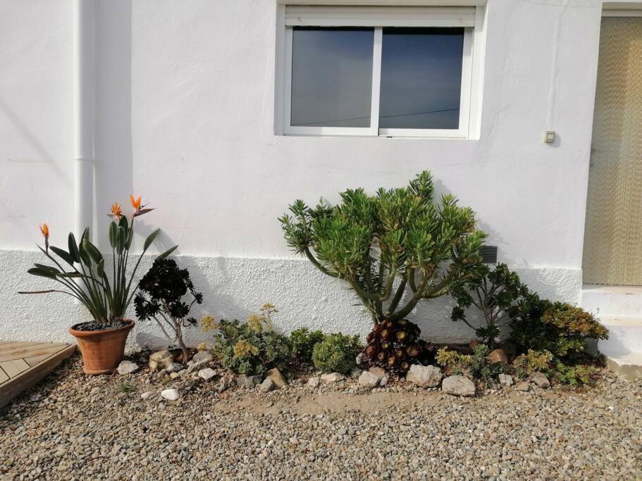 Casa Jardin. Vivienda Rural En Zona Tranquila. Villa Lucainena de las Torres Dış mekan fotoğraf