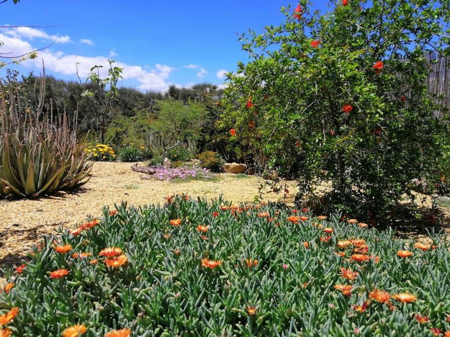 Casa Jardin. Vivienda Rural En Zona Tranquila. Villa Lucainena de las Torres Dış mekan fotoğraf